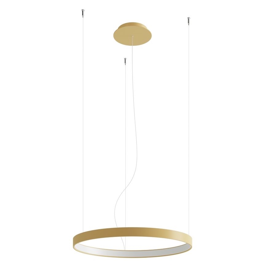 Thoro TH.223 - LED Luster na sajli RIO LED/21W/230V CRI 98 4000K prečnik 55 cm zlatna