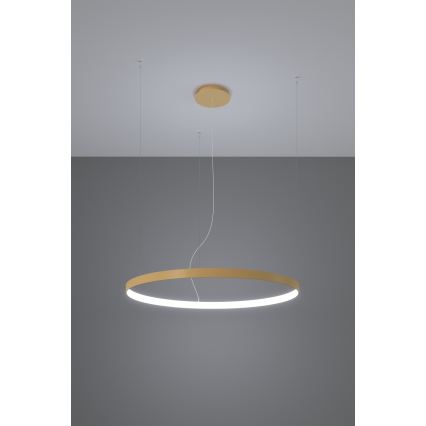 Thoro TH.223 - LED Luster na sajli RIO LED/21W/230V CRI 98 4000K prečnik 55 cm zlatna