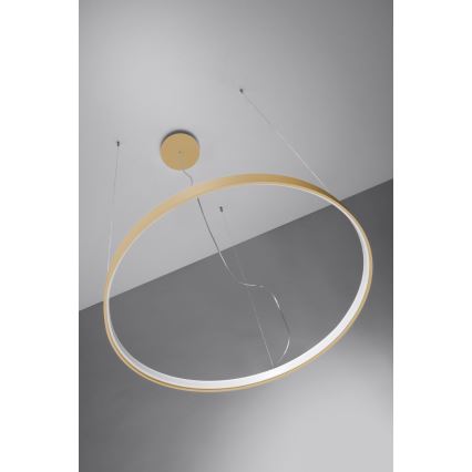 Thoro TH.223 - LED Luster na sajli RIO LED/21W/230V CRI 98 4000K prečnik 55 cm zlatna