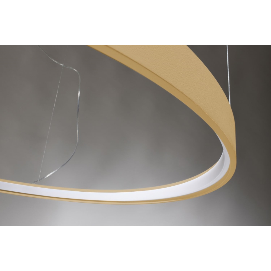 Thoro TH.223 - LED Luster na sajli RIO LED/21W/230V CRI 98 4000K prečnik 55 cm zlatna