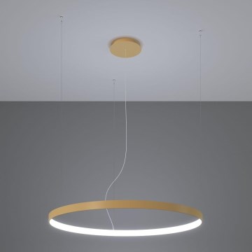 Thoro TH.223 - LED luster na sajli RIO LED/21W/230V CRI 98 4000K prečnik 55 cm zlatni