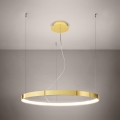 Thoro TH.246 - LED luster na sajli RIO LED/50W/230V CRI 90 3000K prečnik 78 cm zlatni
