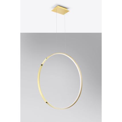 Thoro TH.248 - LED luster na sajli RIO LED/50W/230V CRI 90 3000K prečnik 78 cm zlatna
