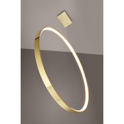 Thoro TH.248 - LED luster na sajli RIO LED/50W/230V CRI 90 3000K prečnik 78 cm zlatna