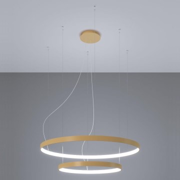 Thoro TH.268 - LED luster na sajli RIO LED/80W/230V CRI 95 4000K zlatni