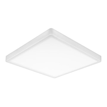 Top Light - LED plafonsko svetlo REVIT LED/24W/230V 3000/4000/6500K 30x30 cm belo
