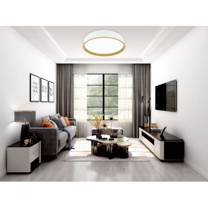 Top Light - LED prigušiva plafonska svetiljka DEKOR LED/51W/230V prečnik 40 cm 3000-6500K+ daljinsko upravljanje