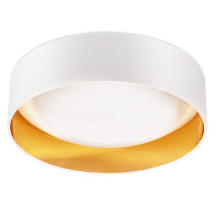 Top Light - LED prigušiva plafonska svetiljka IVONA 40B RC LED/24W/230V + daljinski upravljač bela