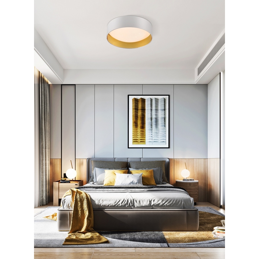 Top Light - LED prigušiva plafonska svetiljka IVONA 40B RC LED/24W/230V + daljinski upravljač bela