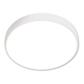 Top Light Metal 40B - LED plafonsko svetlo METAL LED/36W/230V