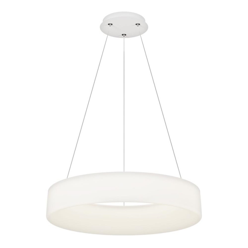 Top Light - prigušiva LED luster na sajli HALO LED/60W/230V 3000-6500K ø 60 cm + daljinski upravljač