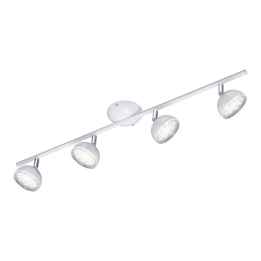 Trio - LED spot svetiljka BOLOU 4xLED/3,8W/230V