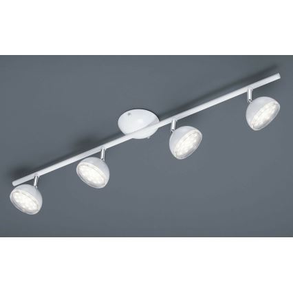 Trio - LED spot svetiljka BOLOU 4xLED/3,8W/230V
