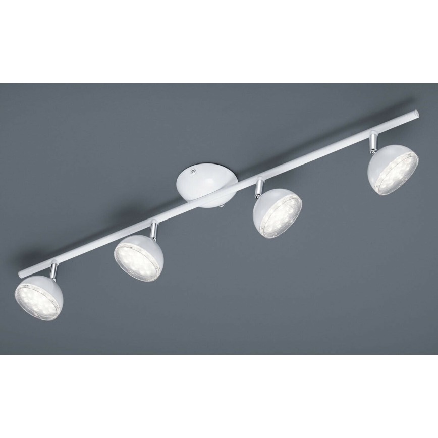 Trio - LED spot svetiljka BOLOU 4xLED/3,8W/230V