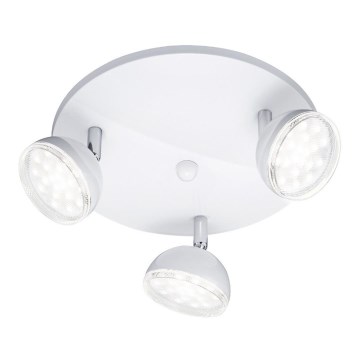 Trio - LED spot svetlo BOLOU 3xLED/3,8W/230V