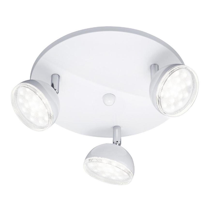 Trio - LED spot svetlo BOLOU 3xLED/3,8W/230V