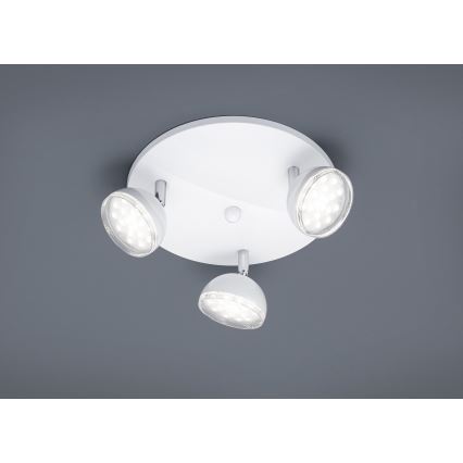 Trio - LED spot svetlo BOLOU 3xLED/3,8W/230V