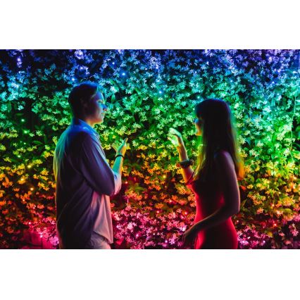 Twinkly - LED RGBW Prigušiva spoljašnja božićna svetlosna girlanda STRINGS 600xLED 51,5m IP44 Wi-Fi