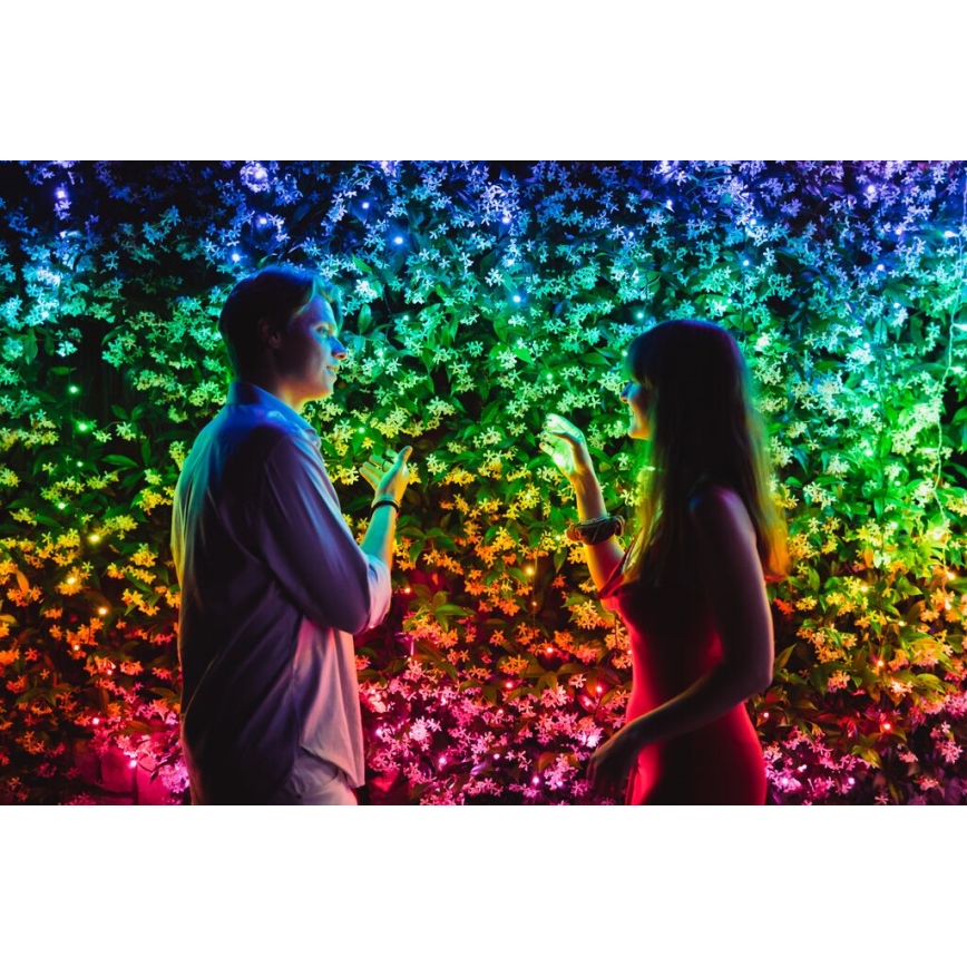 Twinkly - LED RGBW Prigušiva spoljašnja božićna svetlosna girlanda STRINGS 600xLED 51,5m IP44 Wi-Fi