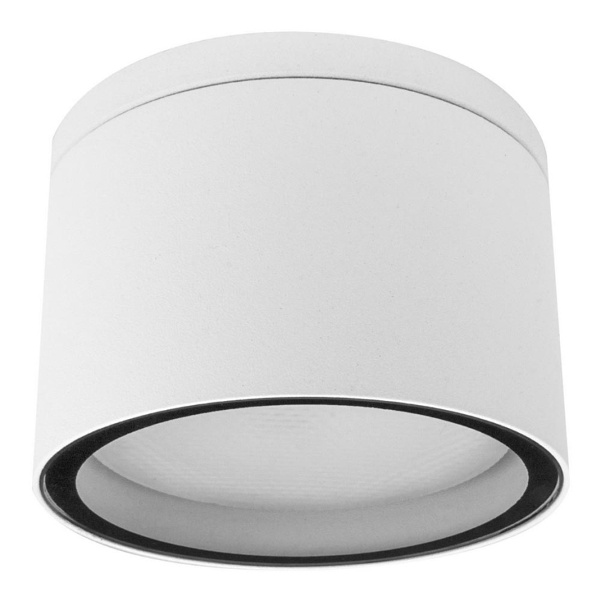 Vanjska plafonska svjetlijka ARON 1xGX53/15W/230V IP54