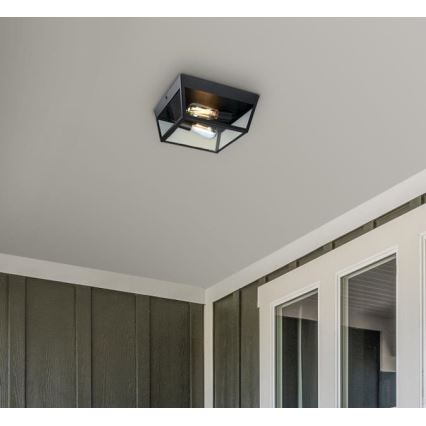 Westinghouse 61219 - Spoljašnje plafonsko svetlo PETERSON 2xE27/40W/230V IP44