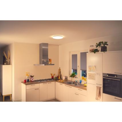 WiZ - LED prigušiva plafonska lampa SUPERSLIM LED/17W/230V 2700K Wi-Fi