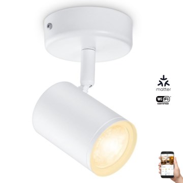 WiZ - LED prigušiva spot svetiljka IMAGEO 1xGU10/4,9W/230V 2700-6500K CRI 90 Wi-Fi bela