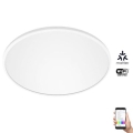 WiZ - LED RGB prigušiva stropna svetiljka SUPERSLIM LED/32W/230V 2700-6500K Wi-Fi bela
