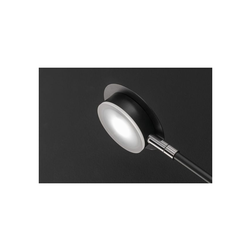 Wofi 446604109000 - LED zidno svetlo BELIZE 4xLED/5W/230V 3000K crna