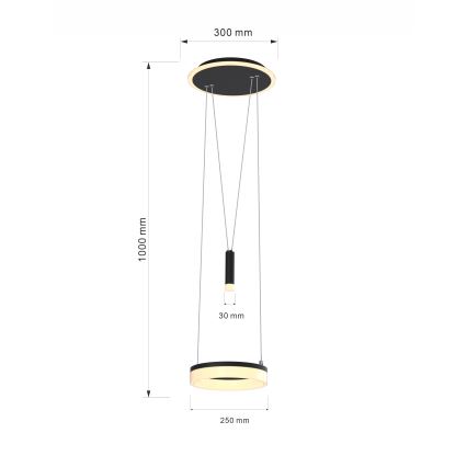 Wofi 6054-302 - LED prigušiva luster na sajli JESSE LED/15,5W/230V crna