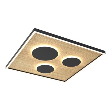 Wofi 9012-306L - LED prigušiva stropna svetiljka DIJON LED/40W/230V