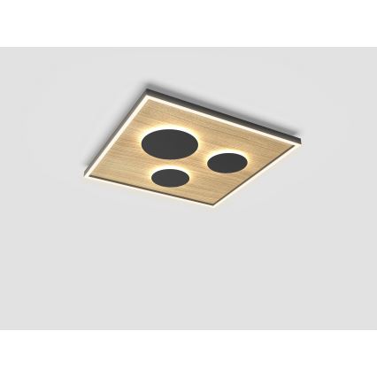 Wofi 9012-306L - LED prigušiva stropna svetiljka DIJON LED/40W/230V