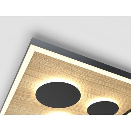 Wofi 9012-306L - LED prigušiva stropna svetiljka DIJON LED/40W/230V