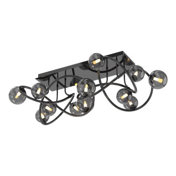 Wofi 9014-1205 - LED plafonski luster NANCY 12xG9/3,5W/230V crna/sjajni hrom