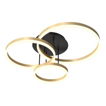 Wofi 9049-401 - LED prigušiva plafonski luster PERPIGNAN LED/51W/230V zlatni