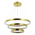 Zambelis 2009 - LED prigušiva luster na sajli LED/112W/230V zlatni