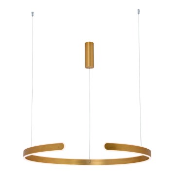 Zambelis 2012 - LED prigušiva luster na sajli LED/40W/230V zlatna