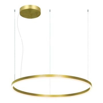 Zambelis 22240 - LED prigušiva luster na sajli LED/57W/230V 3000K prečnika 80 cm zlatni