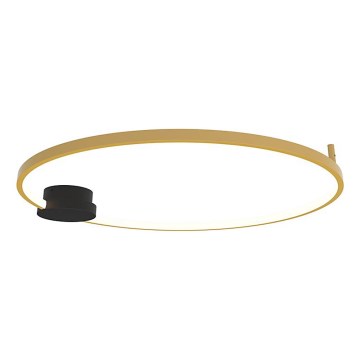Zambelis 23097 - LED prigušiva plafonska lampa LED/32W/230V 3000K prečnik 80 cm zlatna