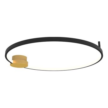 Zambelis 23098 - LED prigušiva stropna svetiljka LED/24W/230V 3000K prečnik 60 cm crna