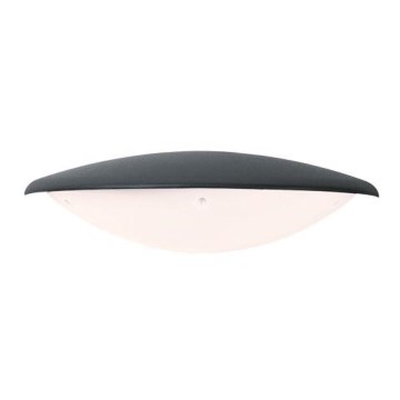 Zambelis E115 - LED spoljašnje zidno svetlo LED/6W/230V IP54 antracit