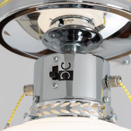 ZEVENTI - Plafonski ventilator NAVAGIO 1xE27/60W/230V crna/bela