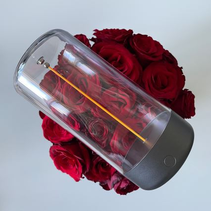 Zuma Line - prigušiva punjiva stona LED lampa LED/0,5W/230V crna IP54