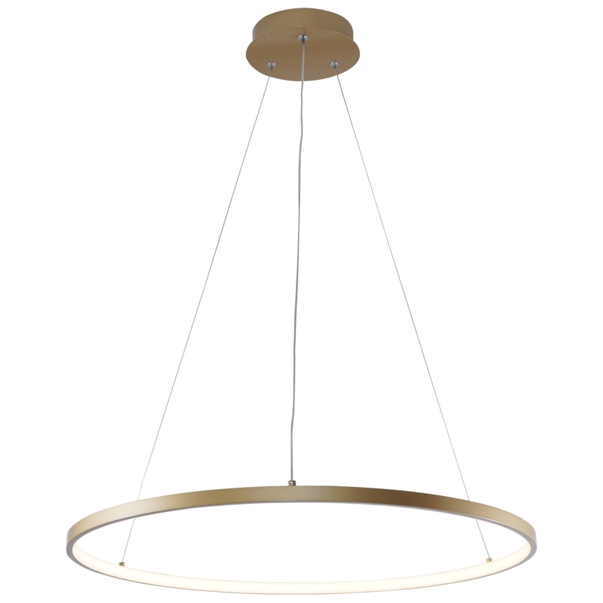 Zuma Line - LED luster na sajli LED/28W/230V 3000/4000/6000K prečnika 60 cm zlatna