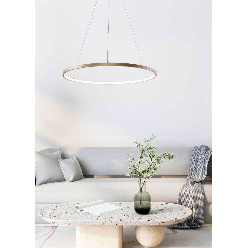 Zuma Line - LED luster na sajli LED/28W/230V 3000/4000/6000K prečnika 60 cm zlatna