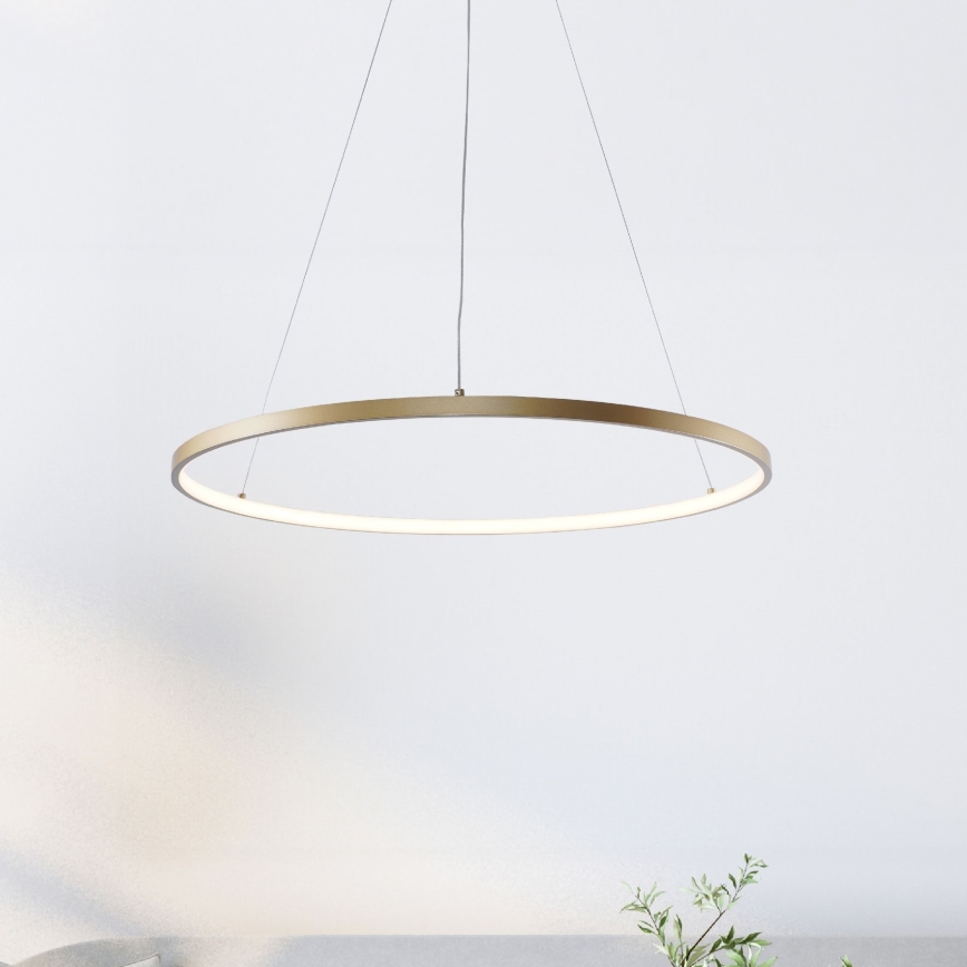 Zuma Line - LED luster na sajli LED/28W/230V 3000/4000/6000K prečnika 60 cm zlatna