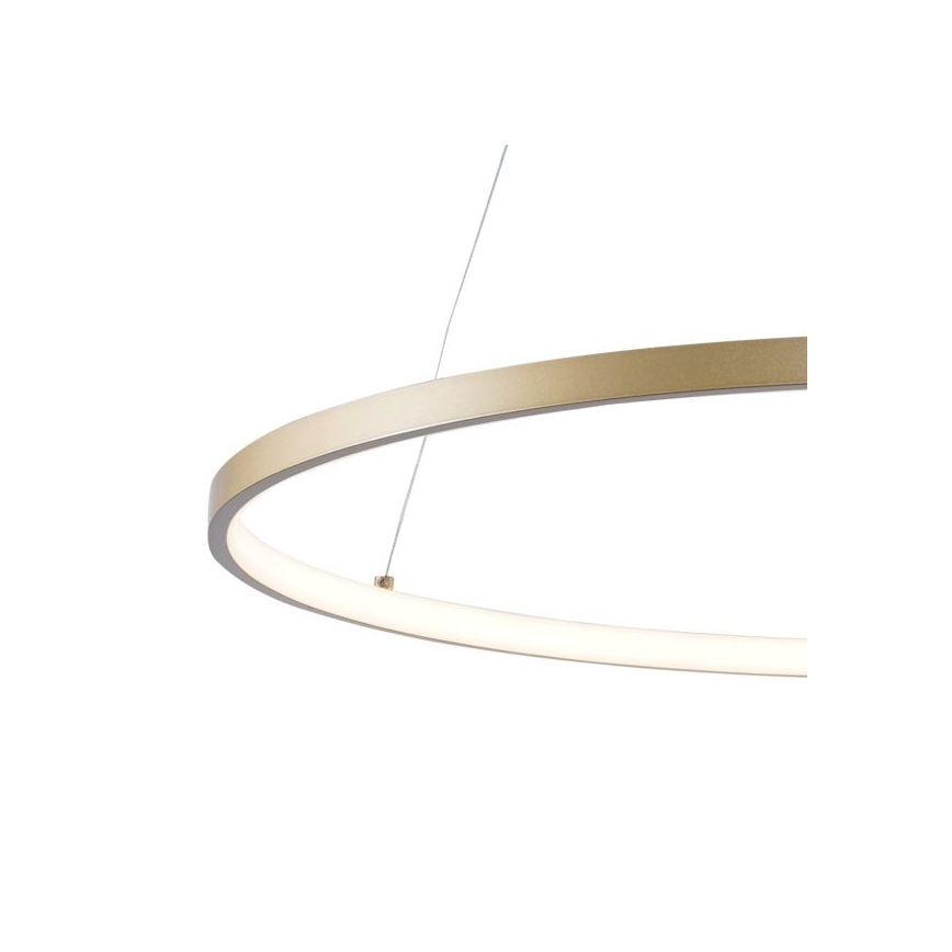 Zuma Line - LED luster na sajli LED/28W/230V 3000/4000/6000K prečnika 60 cm zlatna
