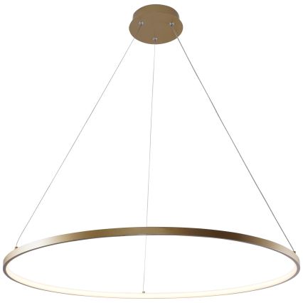 Zuma Line - LED luster na sajli LED/36W/230V 3000/4000/6000K, prečnik 80 cm, u zlatnoj boji