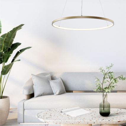 Zuma Line - LED luster na sajli LED/36W/230V 3000/4000/6000K, prečnik 80 cm, u zlatnoj boji