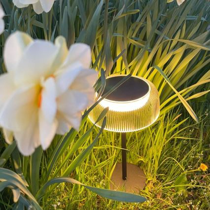 Zuma Line - LED prigušiva solarna punjiva stona lampa LED/2,5W/2000 mAh IP44 crna